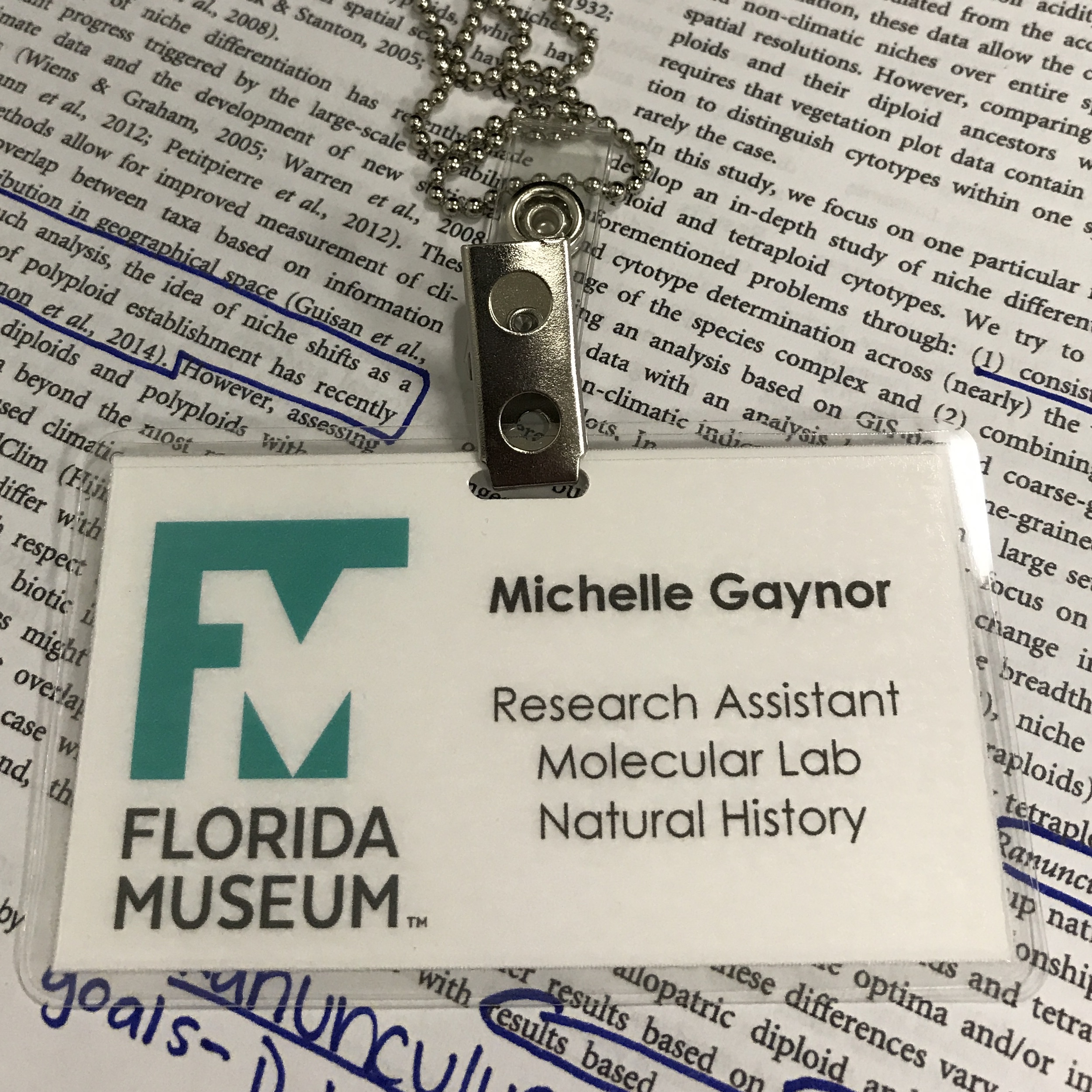 Nametag from the Florida Museum for Michelle Gaynor, Research Assistant, Molecular Lab Natural History.